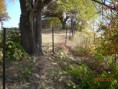 /album/photo-gallery-southside-facing-diffley-road/s2012100303-jpg/